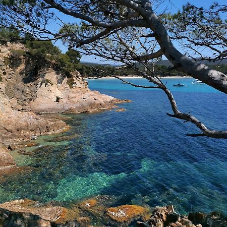 Studio A Hyeres Port - Proche De Toutes Commodites Экстерьер фото