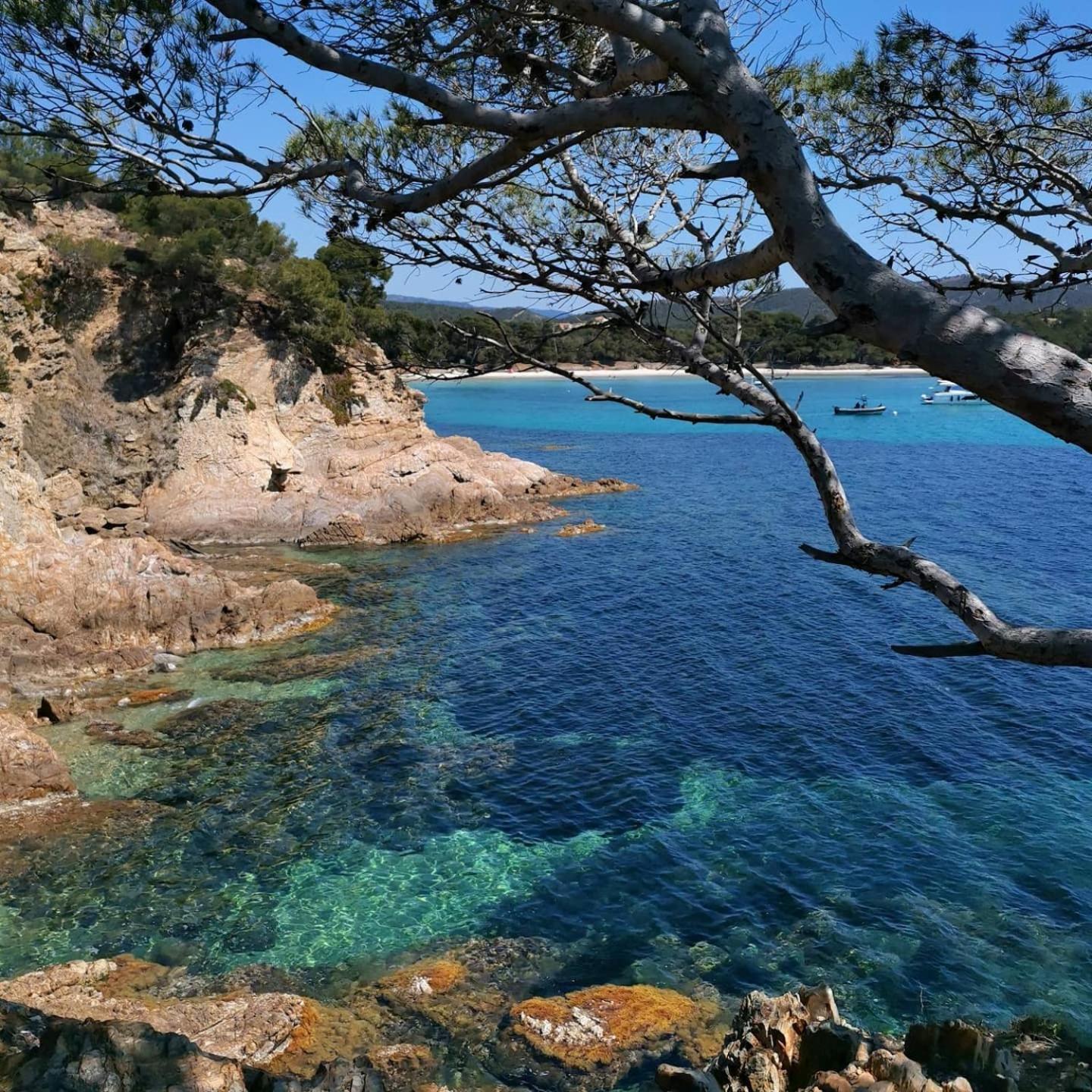 Studio A Hyeres Port - Proche De Toutes Commodites Экстерьер фото